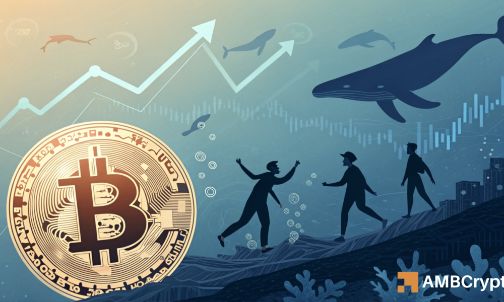 比特币&mdash;&mdash;在熊市来临之前，比特币能否上涨 20%