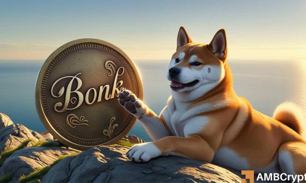 销毁、采用以及 BONK 的价格如何很快达到新的价格水平