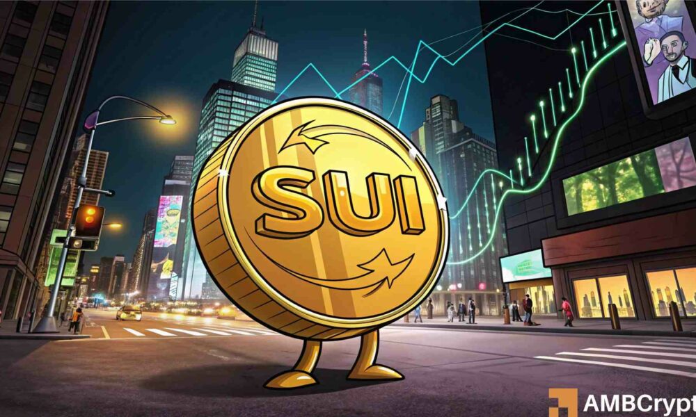 SUI 在上涨 34% 后回落&mdash;&mdash;所有人的目光都集中在这一支撑位上