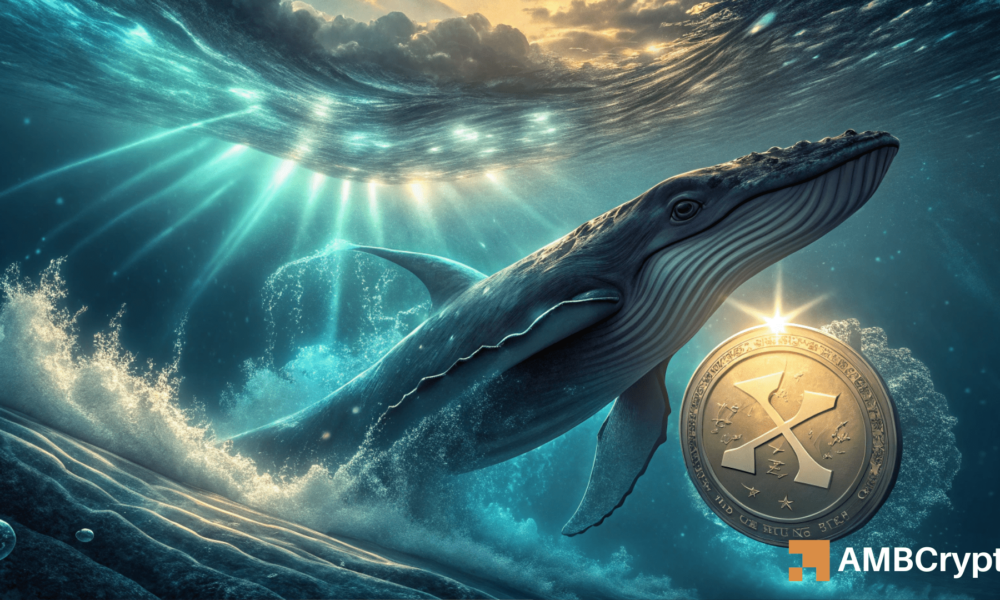 XRP 当前上涨的 2 个原因以及它能否持续
