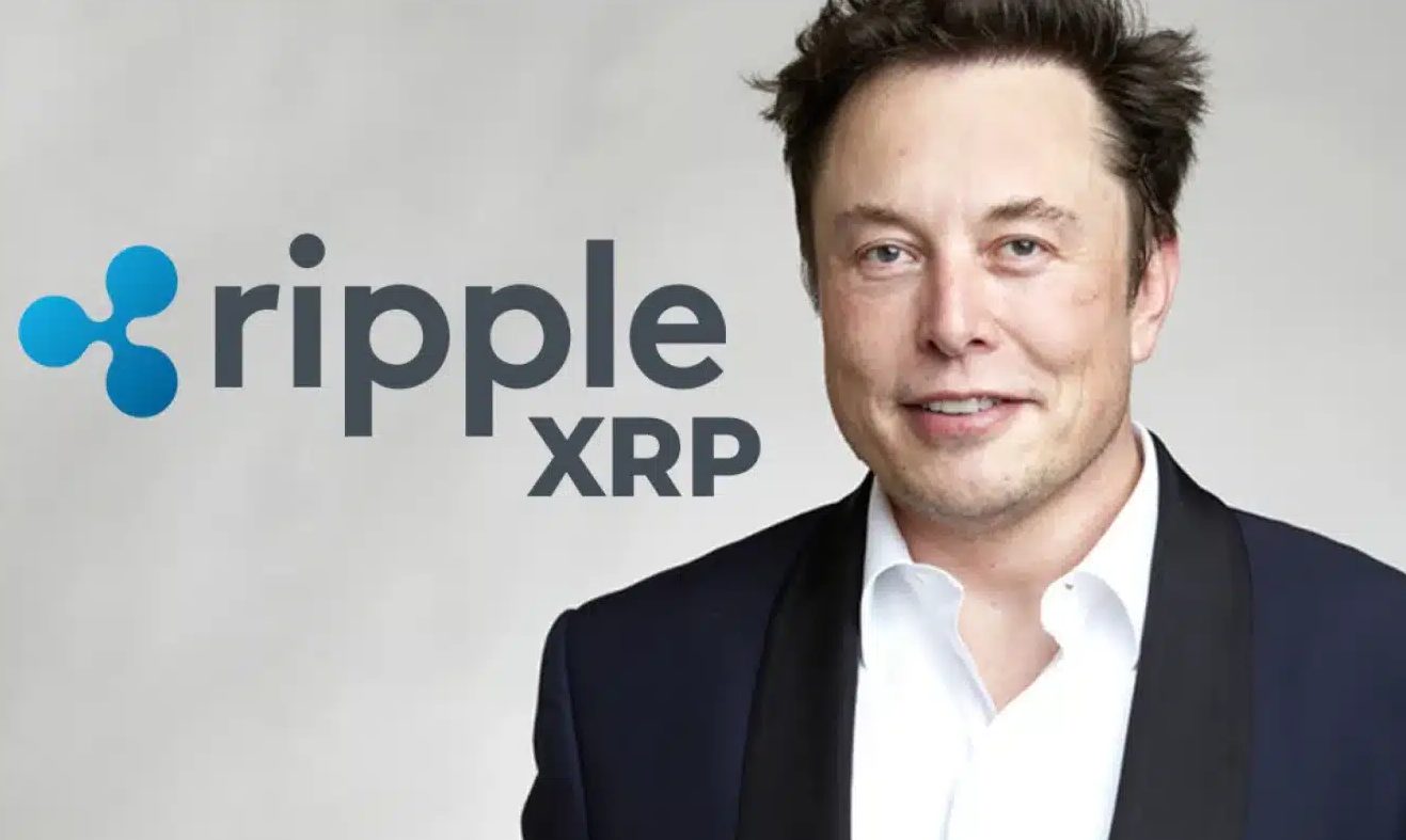 XRP 将突破 15 美元？马斯克的人工智能做出大胆价格预测