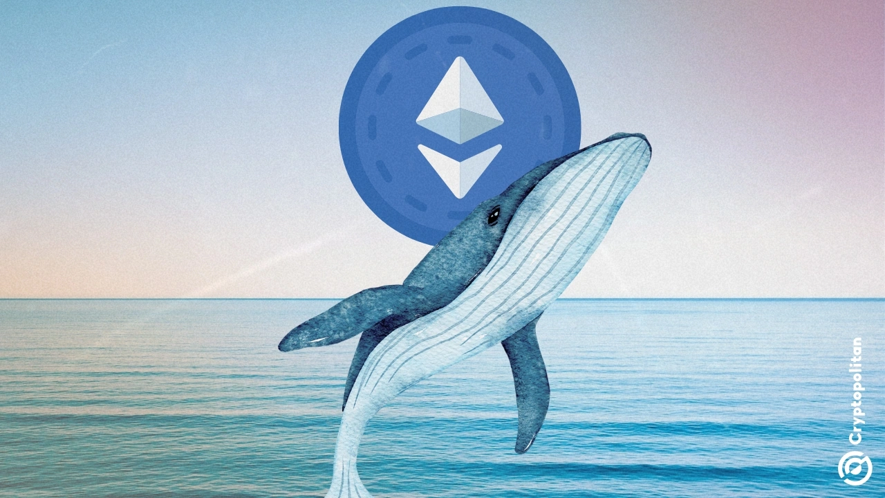 随着价格稳固在 3,700 美元以上，鲸鱼重新开始购买 ETH
