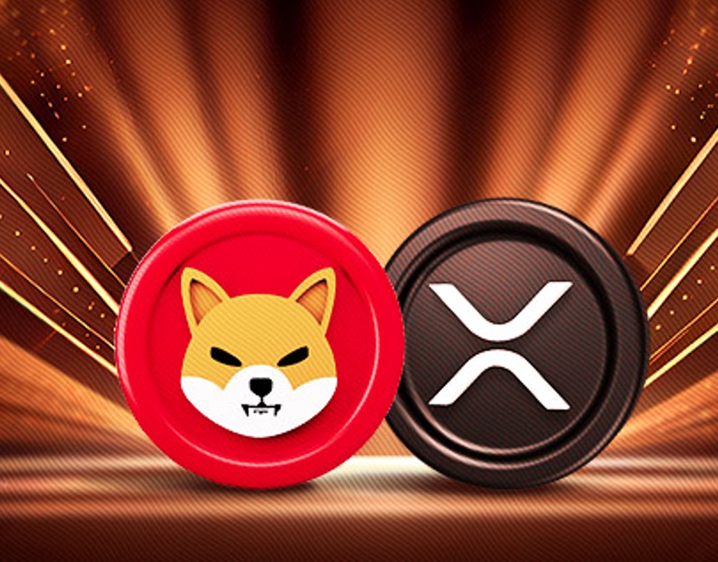 XRP 比柴犬更赚钱：原因如下