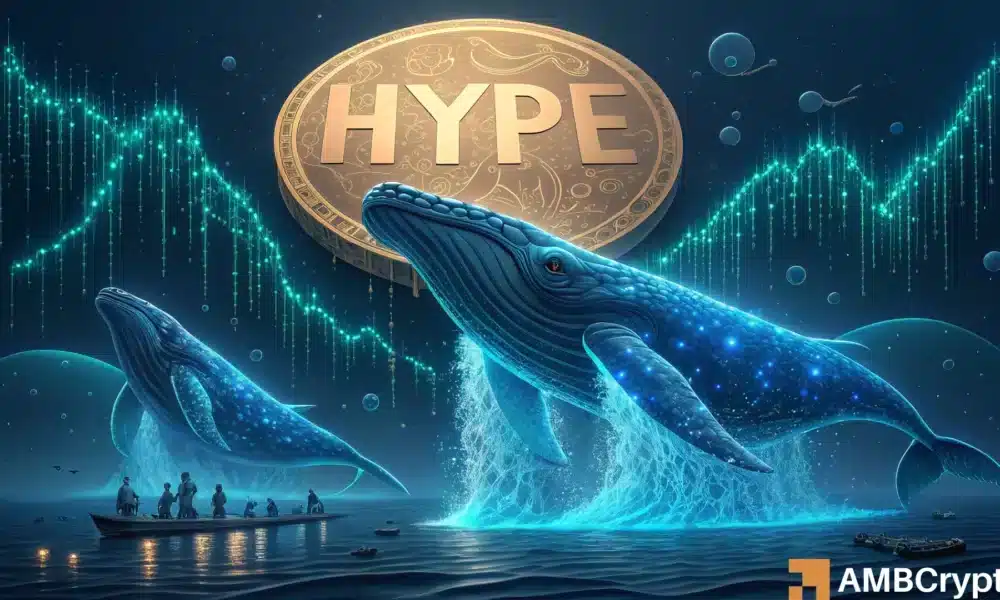 Hyperliquid 的反弹可不是闹着玩的：这预示着又一个牛市