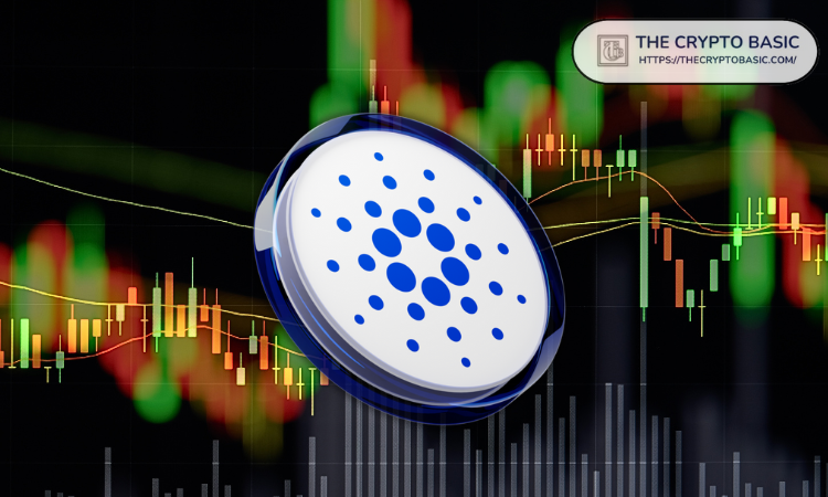 如果 Cardano 的产量比上一周期减少 50%，其价格如下