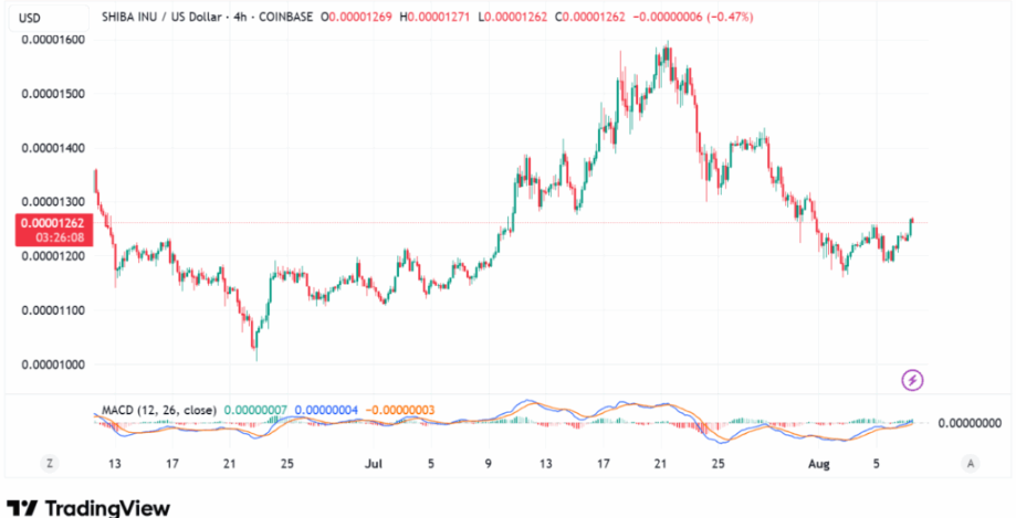 SHIB 4-hour Coinbase price chart