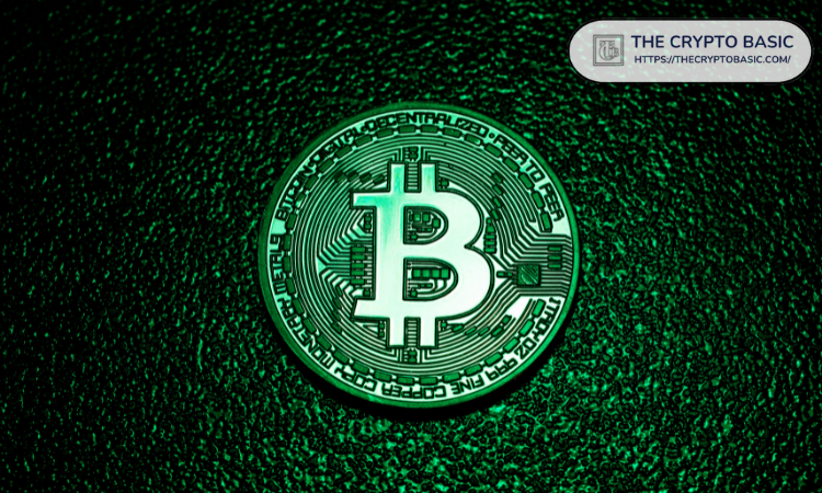 Canary Capital 首席执行官表示，比特币今年达到 15 万美元的可能性超过 50%