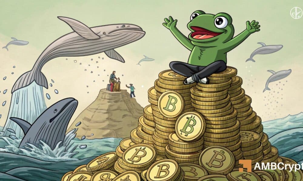 鲸鱼入市，PEPE 上涨：市场关注下一步走势