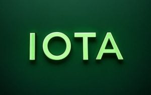 Dominik Schiener：“我完全赞成重复2017年” IOTA 获得机构动力