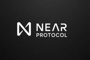 Near Foundation 推出数字孪生模型来代表 DAO 成员