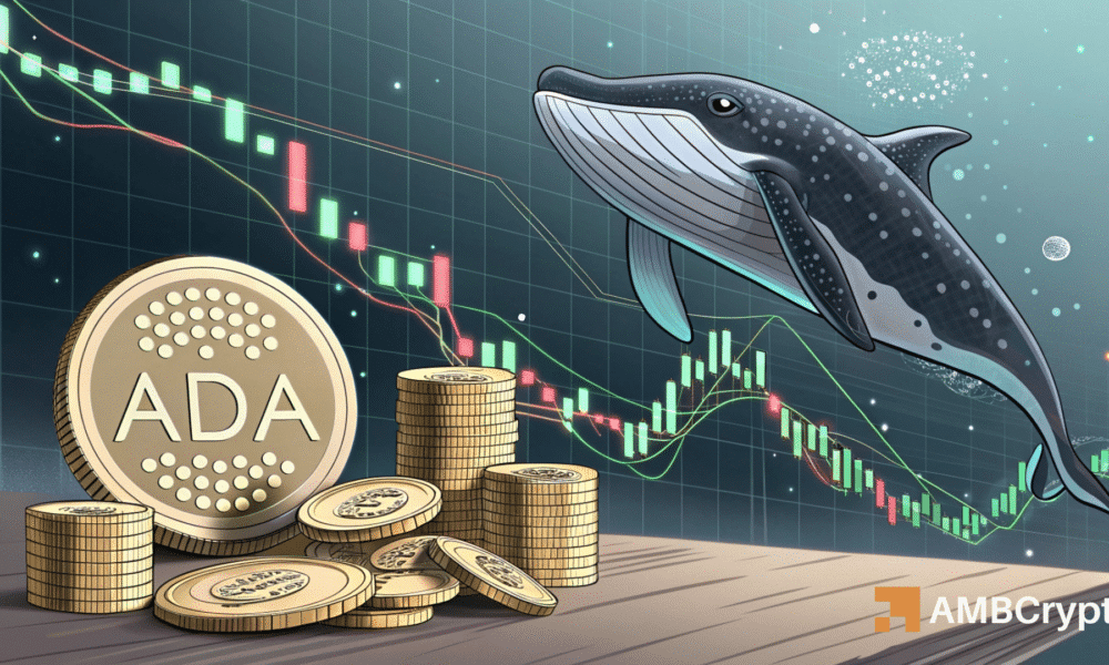 Cardano – 7000 万 ADA 巨鲸买入能否将价格推高至 0.90 美元以上？