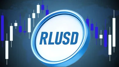 Ripple 总裁称稳定币似乎受到 FOMO 的驱动