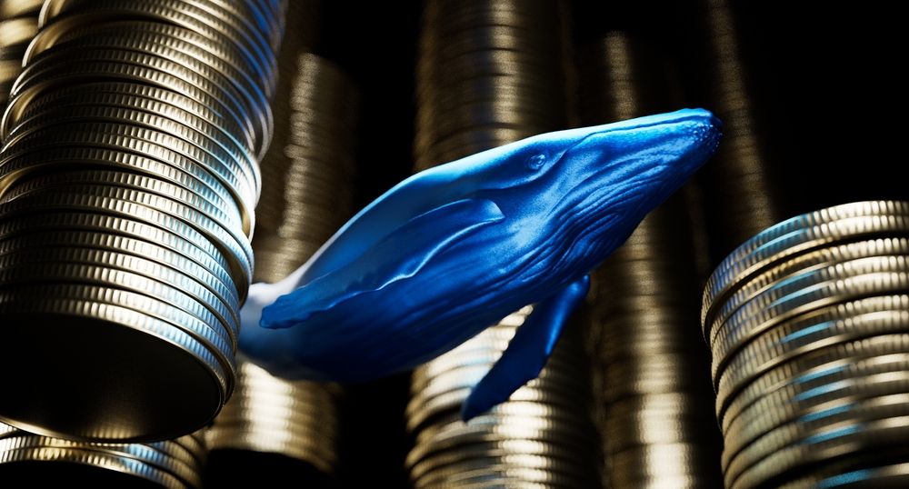 鲸鱼警报：127 万美元 XRP 多头押注引发看涨狂热