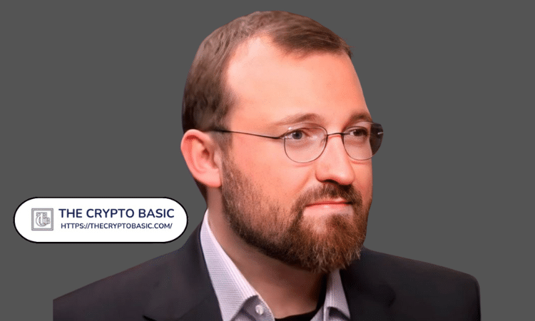 霍斯金森称这对卡尔达诺来说意义重大：详情