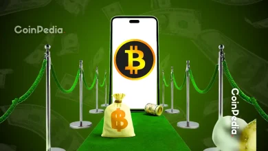 比特币白皮书发布17周年：BTC步入成年期