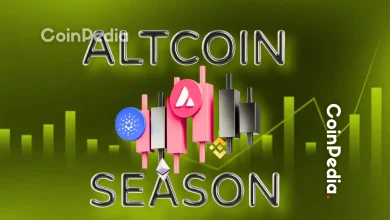 山寨币行情展望 2025：分析师为何认为熊市即将结束