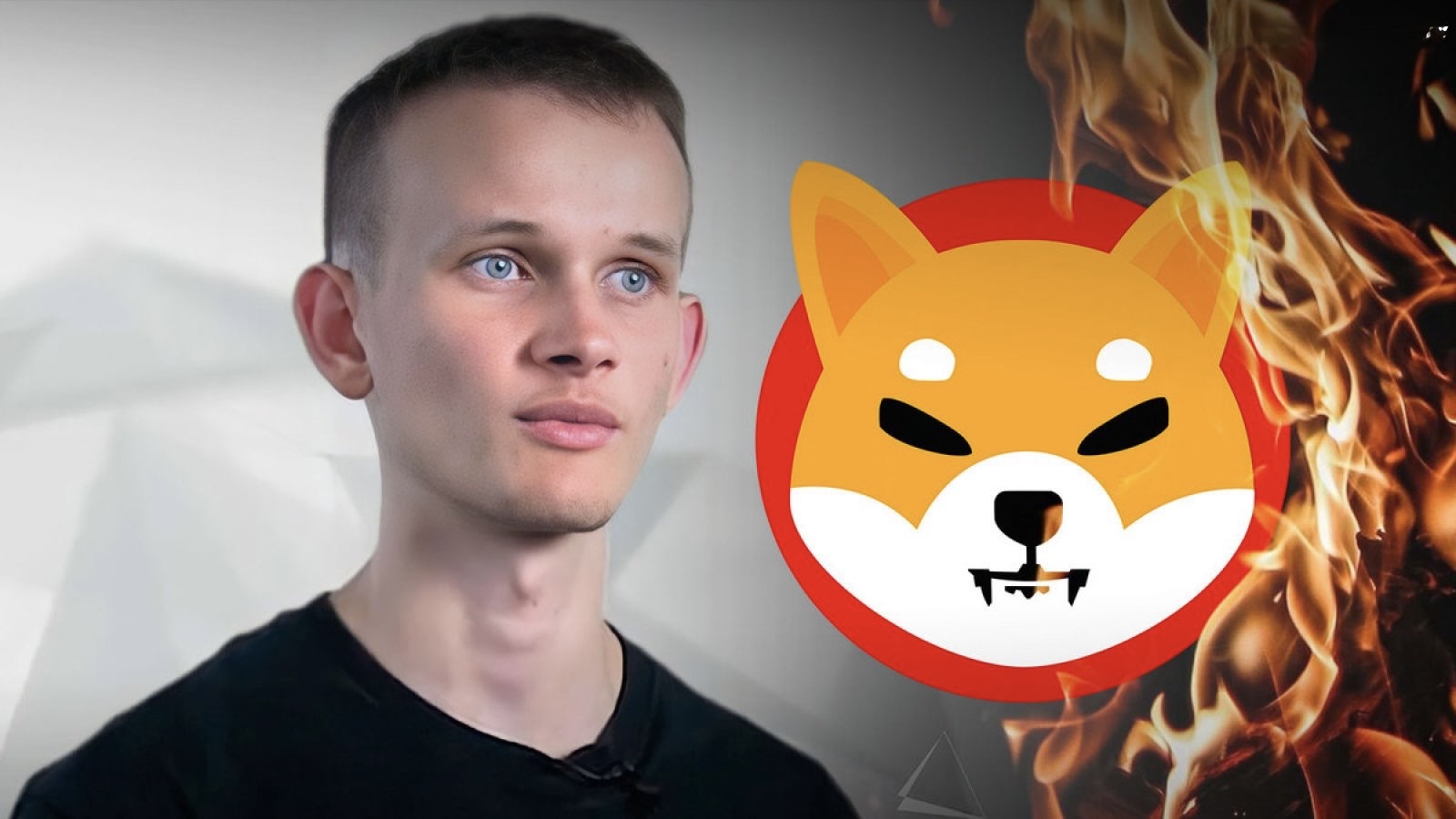 为什么 Vitalik Buterin 获得了 Shiba Inu 50% 的股份？他是创始人吗？