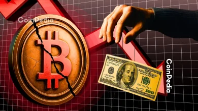 比特币价格今天为何暴跌？比特币价格还能跌到多低？