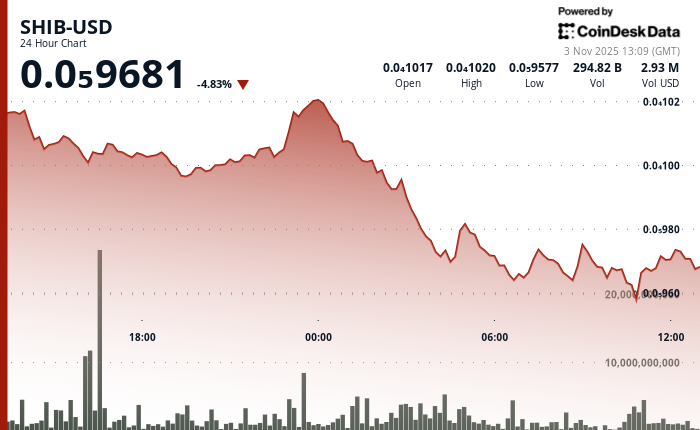 尽管进行了代币销毁，但由于比特币跌破200日均线，SHIB股价仍下跌5%。