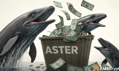 ASTER：精明的投资者如何将上涨行情转化为盈利周期