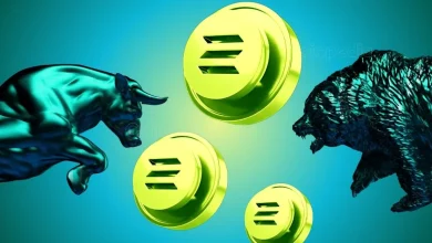 在市场对中期走势悲观的情绪下，Solana Whales积极建仓