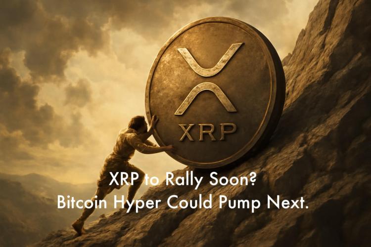 XRP 准备好迎接新一轮上涨了吗？为什么比特币超级预售现在如此火爆？