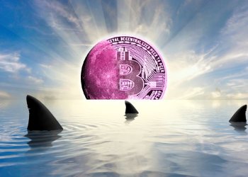 Bitwise首席信息官Matt Hougan预测比特币价格将在2025年底达到峰值，并称加密货币零售市场正处于“极度绝望”状态。