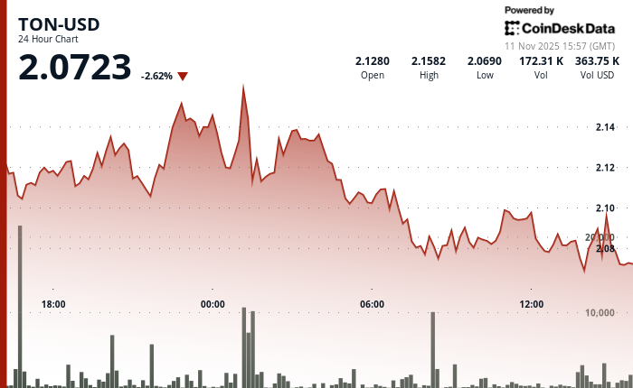 Toncoin跌至关键支撑位2.07美元，抛售压力不断增加