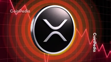 11月13日XRP价格预测