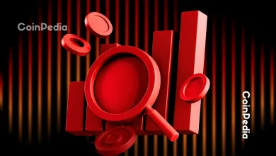 2025年值得关注的被低估山寨币：FIL、TON和HBAR展现强劲上涨潜力