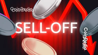 尽管市场预期美联储将降息，但加密货币抛售潮仍在加剧。