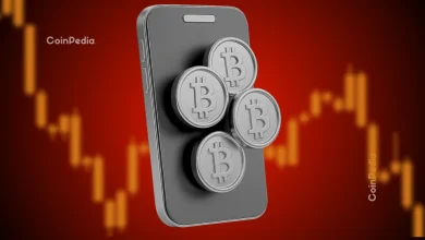 所有盈利的比特币交易员现在都在关注这些图表，10倍研究！