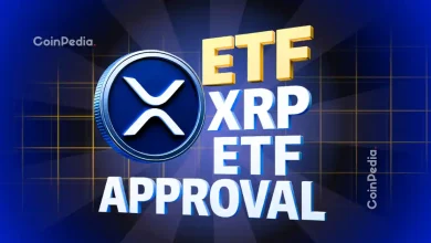 Bitwise XRP ETF 发行首日实时更新：基金启动募资 227 万美元种子轮