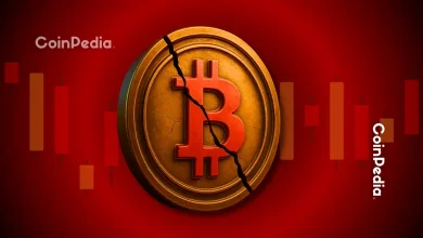 此前准确预测比特币9万美元暴跌的分析师现在表示，接下来比特币将跌至6万美元。