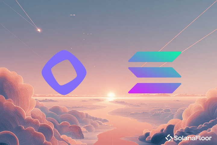 Wormhole 揭晓 Sunrise：将 $MON 代币发行带到 Solana