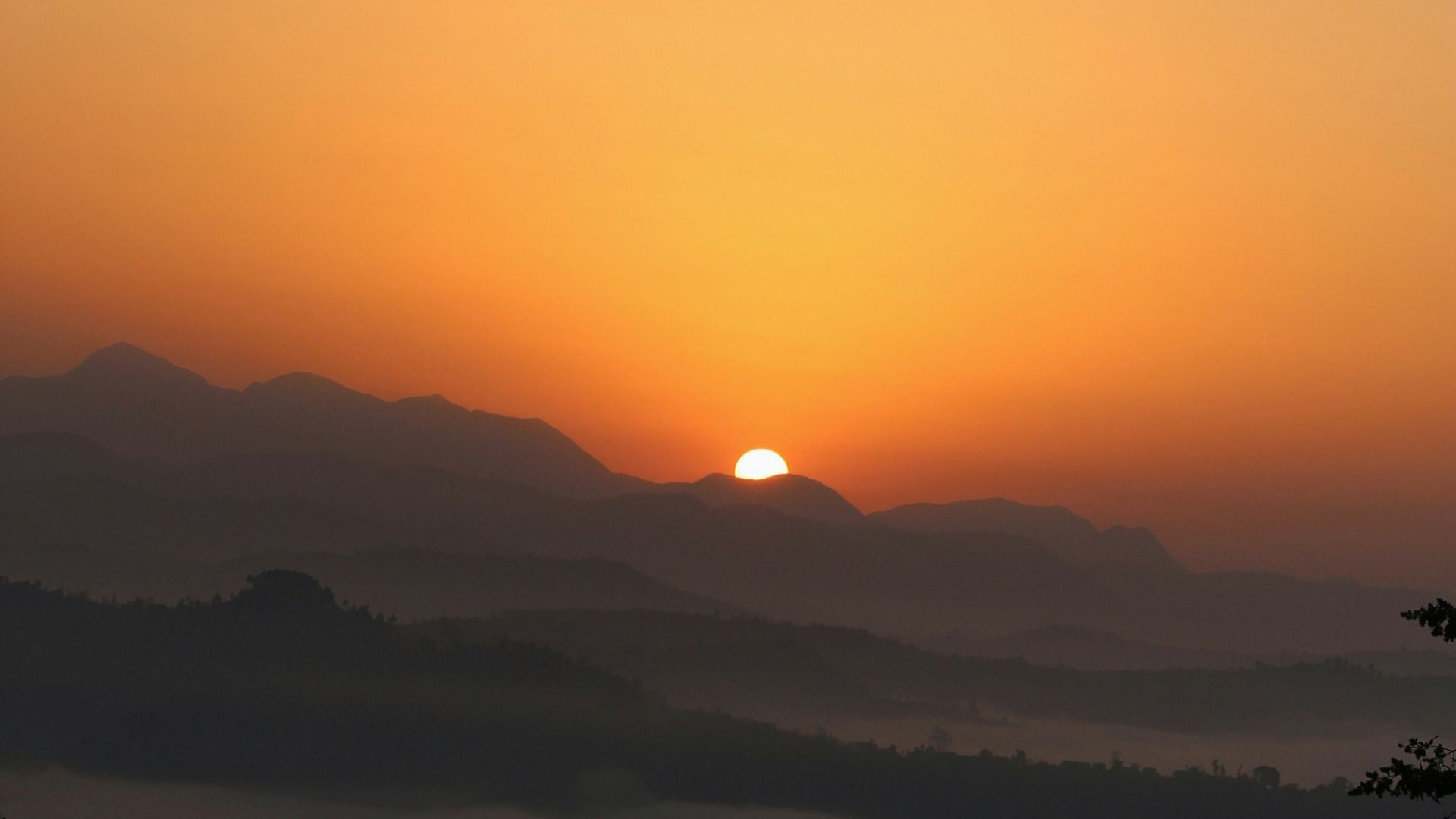 Sunrise 的发布简化了 Solana 代币导入流程，Monad 也正式上线。