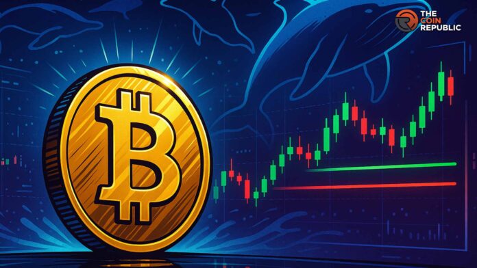 比特币价格预测：到 2025 年底，比特币价格会是多少？