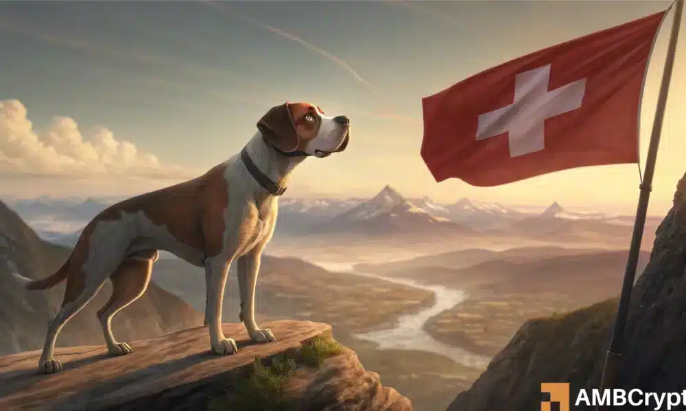 BONK ETP发行及其如何引发9%涨幅的全部内容