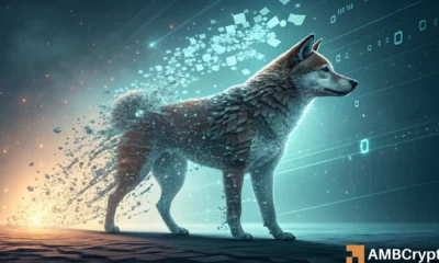 尽管狗狗币 (DOGE) 暴跌 49%，但为何仍显示出早期复苏迹象？