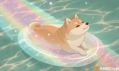 尽管价格上涨，BONK的周线趋势为何依然处于深度看跌状态