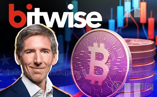 Bitwise CIO：在加密行业应如何投资