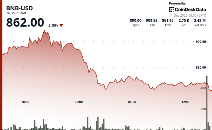 加密货币市场走低，BNB价格跌破865美元