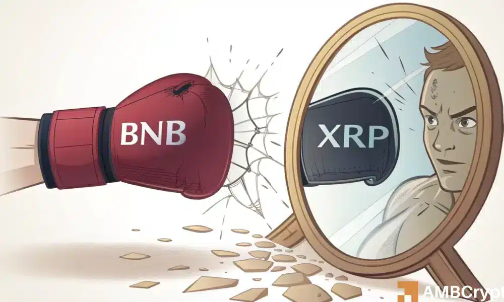 XRP在高市值加密货币排名中下滑，BNB的优势何在？