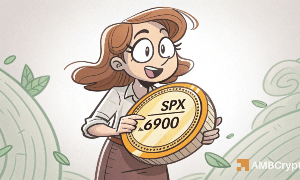 分析标普6900指数的配置，以及模因币市场情绪的转变