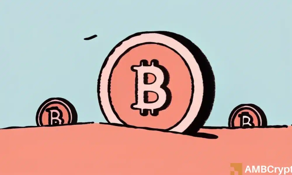 &ldquo;山寨币季尚未结束&rdquo;&mdash;&mdash;为什么2026年可能是值得关注的一年