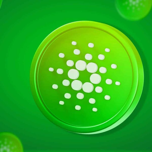 Hoskinson 宣称 NIGHT 交易量超过 XRP 和 SOL：你该关注吗？