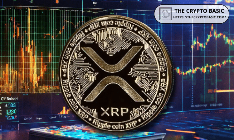 专家建议忽略XRP的短期波动，不要过分关注价格，XRP的真正价值在于其实用性。