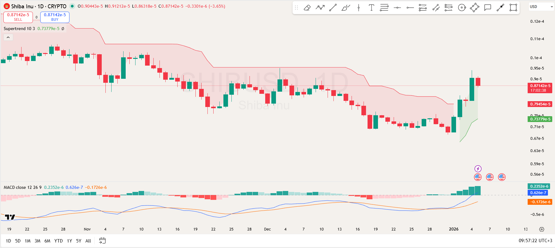 Shiba Inu 1-Day Chart