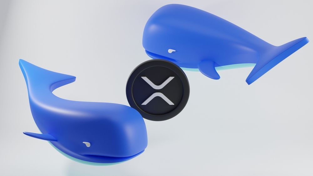 谁持有最多的 XRP（瑞波币）？完整的持有情况分析