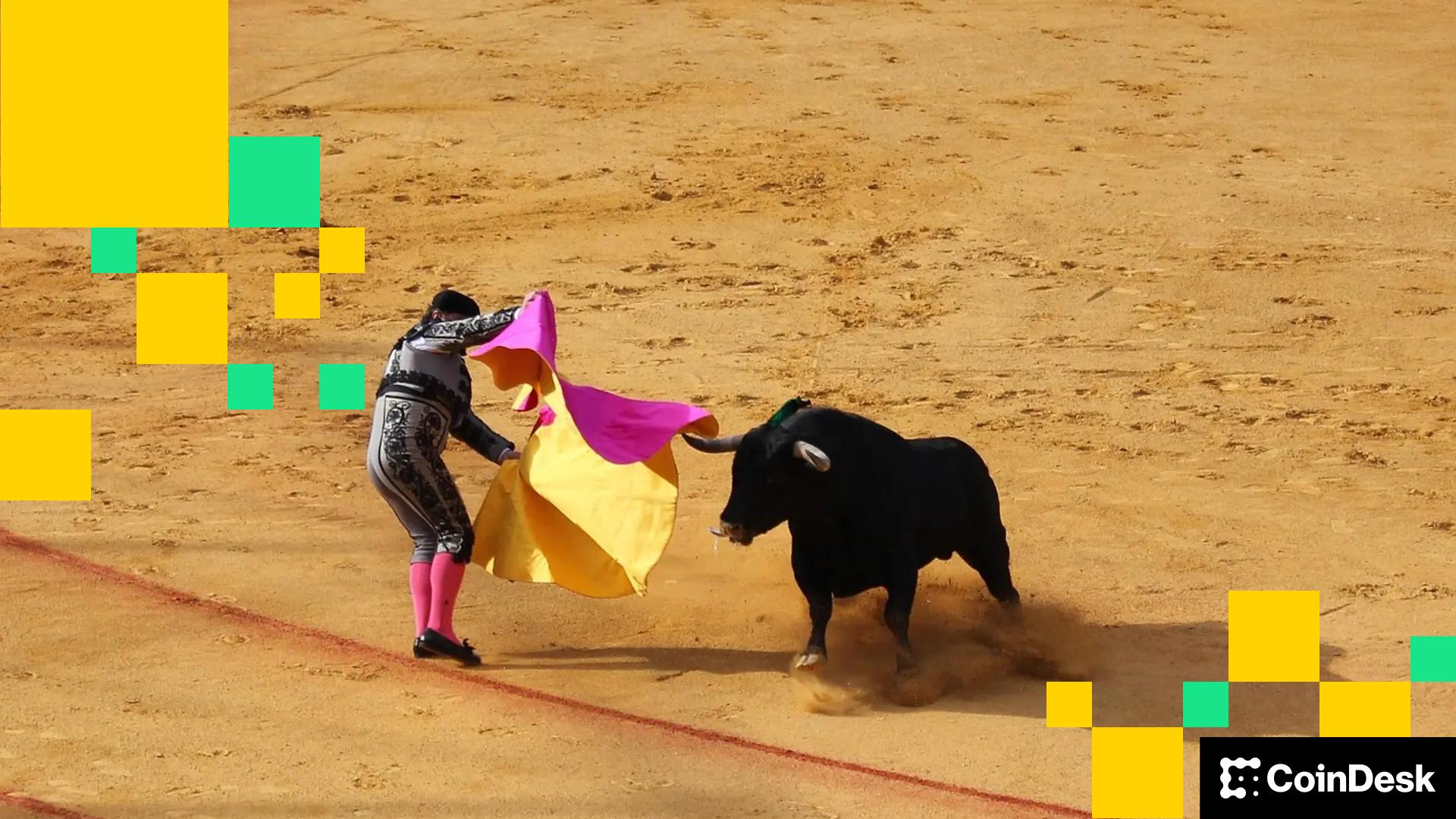 随着加密货币市场以 2.6 亿美元的清算延续新年涨势，比特币短暂触及 93,000 美元